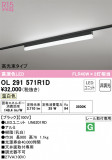 ODELIC ǥå ١饤 OL291571R1DþʾLEDη¡ʰΡѤ䡡Ҹ -LIGHTING DEPOT-