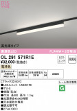 ODELIC ǥå ١饤 OL291571R1EþʾLEDη¡ʰΡѤ䡡Ҹ -LIGHTING DEPOT-