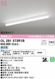 ODELIC ǥå ١饤 OL291573R1BþʾLEDη¡ʰΡѤ䡡Ҹ -LIGHTING DEPOT-