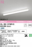 ODELIC ǥå ١饤 OL291573R1CþʾLEDη¡ʰΡѤ䡡Ҹ -LIGHTING DEPOT-