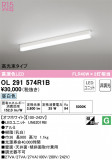 ODELIC ǥå ١饤 OL291574R1BþʾLEDη¡ʰΡѤ䡡Ҹ -LIGHTING DEPOT-
