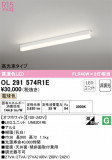 ODELIC ǥå ١饤 OL291574R1EþʾLEDη¡ʰΡѤ䡡Ҹ -LIGHTING DEPOT-