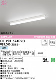 ODELIC ǥå ١饤 OL291574R2CþʾLEDη¡ʰΡѤ䡡Ҹ -LIGHTING DEPOT-