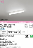 ODELIC ǥå ١饤 OL291575R1CþʾLEDη¡ʰΡѤ䡡Ҹ -LIGHTING DEPOT-
