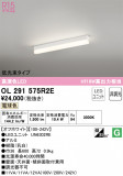 ODELIC ǥå ١饤 OL291575R2EþʾLEDη¡ʰΡѤ䡡Ҹ -LIGHTING DEPOT-