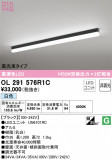 ODELIC ǥå ١饤 OL291576R1CþʾLEDη¡ʰΡѤ䡡Ҹ -LIGHTING DEPOT-