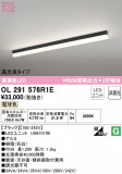 ODELIC ǥå ١饤 OL291576R1EþʾLEDη¡ʰΡѤ䡡Ҹ -LIGHTING DEPOT-