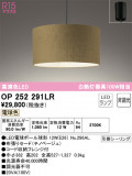 ODELIC ǥå ڥȥ饤 OP252291LRþʾLEDη¡ʰΡѤ䡡Ҹ -LIGHTING DEPOT-