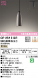 ODELIC ǥå ڥȥ饤 OP252813RþʾLEDη¡ʰΡѤ䡡Ҹ -LIGHTING DEPOT-