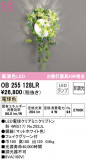 ODELIC ǥå ֥饱å OB255128LRþʾLEDη¡ʰΡѤ䡡Ҹ -LIGHTING DEPOT-