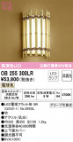 ODELIC ǥå ֥饱å OB255300LRþʾLEDη¡ʰΡѤ䡡Ҹ -LIGHTING DEPOT-