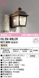 ODELIC ǥå ƥꥢ饤 OG254405LCRþʾLEDη¡ʰΡѤ䡡Ҹ -LIGHTING DEPOT-