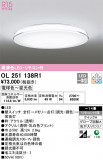 ODELIC ǥå 󥰥饤 OL251138R1þʾLEDη¡ʰΡѤ䡡Ҹ -LIGHTING DEPOT-