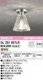 ODELIC ǥå 󥰥饤 OL251657LRþʾLEDη¡ʰΡѤ䡡Ҹ -LIGHTING DEPOT-