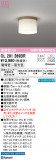 ODELIC ǥå 󥰥饤 OL291269BRþʾLEDη¡ʰΡѤ䡡Ҹ -LIGHTING DEPOT-