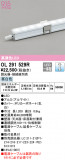 ODELIC ǥå Ѵܾ OL291529RþʾLEDη¡ʰΡѤ䡡Ҹ -LIGHTING DEPOT-