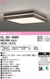 ODELIC ǥå 󥰥饤 OL291598RþʾLEDη¡ʰΡѤ䡡Ҹ -LIGHTING DEPOT-