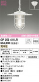 ODELIC ǥå ڥȥ饤 OP252411LRþʾLEDη¡ʰΡѤ䡡Ҹ -LIGHTING DEPOT-