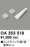 ODELIC ǥå ܹʡեѡ OA253519þʾLEDη¡ʰΡѤ䡡Ҹ -LIGHTING DEPOT-