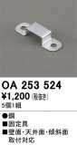 ODELIC ǥå ܹʡեѡ OA253524þʾLEDη¡ʰΡѤ䡡Ҹ -LIGHTING DEPOT-