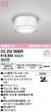 ODELIC ǥå ƥꥢ饤 OG254598NRþʾLEDη¡ʰΡѤ䡡Ҹ -LIGHTING DEPOT-