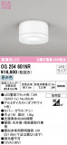 ODELIC ǥå ƥꥢ饤 OG254601NRþʾLEDη¡ʰΡѤ䡡Ҹ -LIGHTING DEPOT-