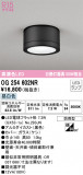 ODELIC ǥå ƥꥢ饤 OG254602NRþʾLEDη¡ʰΡѤ䡡Ҹ -LIGHTING DEPOT-