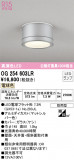 ODELIC ǥå ƥꥢ饤 OG254603LRþʾLEDη¡ʰΡѤ䡡Ҹ -LIGHTING DEPOT-
