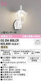 ODELIC ǥå ƥꥢ饤 OG254950LCRþʾLEDη¡ʰΡѤ䡡Ҹ -LIGHTING DEPOT-