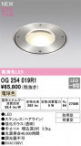 ODELIC ǥå LED ƥꥢ饤 OG254019R1þʾLEDη¡ʰΡѤ䡡Ҹ -LIGHTING DEPOT-