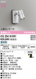 ODELIC ǥå LED ƥꥢ饤 OG254915R1þʾLEDη¡ʰΡѤ䡡Ҹ -LIGHTING DEPOT-