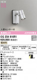 ODELIC ǥå LED ƥꥢ饤 OG254916R1þʾLEDη¡ʰΡѤ䡡Ҹ -LIGHTING DEPOT-