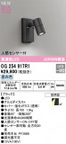 ODELIC ǥå LED ƥꥢ饤 OG254917R1þʾLEDη¡ʰΡѤ䡡Ҹ -LIGHTING DEPOT-