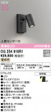 ODELIC ǥå LED ƥꥢ饤 OG254918R1þʾLEDη¡ʰΡѤ䡡Ҹ -LIGHTING DEPOT-