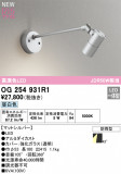 ODELIC ǥå LED ƥꥢ饤 OG254931R1þʾLEDη¡ʰΡѤ䡡Ҹ -LIGHTING DEPOT-