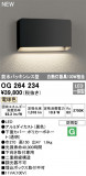 ODELIC ǥå LED ƥꥢ饤 OG264234þʾLEDη¡ʰΡѤ䡡Ҹ -LIGHTING DEPOT-