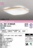 ODELIC ǥå LED 󥰥饤 OL291019NGRþʾLEDη¡ʰΡѤ䡡Ҹ -LIGHTING DEPOT-
