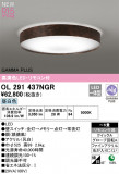 ODELIC ǥå LED 󥰥饤 OL291437NGRþʾLEDη¡ʰΡѤ䡡Ҹ -LIGHTING DEPOT-