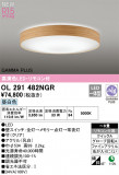ODELIC ǥå LED 󥰥饤 OL291482NGRþʾLEDη¡ʰΡѤ䡡Ҹ -LIGHTING DEPOT-