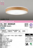 ODELIC ǥå LED 󥰥饤 OL291483NGRþʾLEDη¡ʰΡѤ䡡Ҹ -LIGHTING DEPOT-
