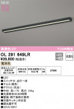 ODELIC ǥå LED å饤 OL291649LRþʾLEDη¡ʰΡѤ䡡Ҹ -LIGHTING DEPOT-