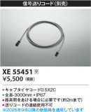 Koizumi ߾ ꥳ XE55451þʾLEDη¡ʰΡѤ䡡Ҹ -LIGHTING DEPOT-