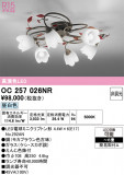 ODELIC �����ǥ�å� �����ǥꥢ OC257026NR�þ��ʾ����LED�������η�¡��ʰ����Ρ����Ѥ�����䡡�����Ҹ� -LIGHTING DEPOT-