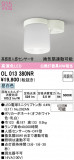 ODELIC �����ǥ�å� ����������󥰥饤�� OL013380NR�þ��ʾ����LED�������η�¡��ʰ����Ρ����Ѥ�����䡡�����Ҹ� -LIGHTING DEPOT-