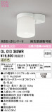 ODELIC �����ǥ�å� ����������󥰥饤�� OL013380WR�þ��ʾ����LED�������η�¡��ʰ����Ρ����Ѥ�����䡡�����Ҹ� -LIGHTING DEPOT-