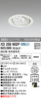 ODELIC ǥå 饤 XD258602P