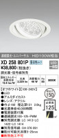 ODELIC ǥå 饤 XD258801P