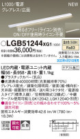 Panasonic ۲ LGB51244XG1