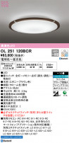 ODELIC ǥå 󥰥饤 OL251120BCR