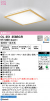ODELIC ǥå 󥰥饤 OL251358BCR